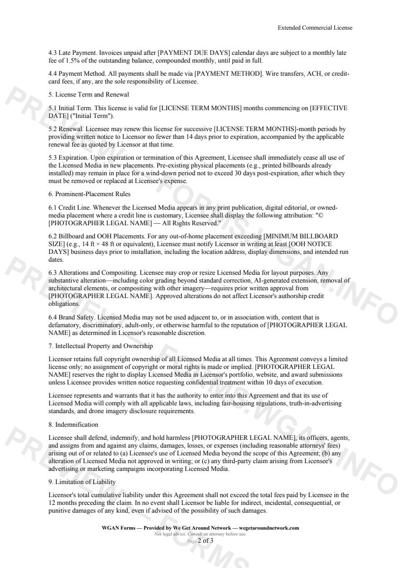 Extended Commercial License — page 2 preview covering Intellectual Property and Ownership, Indemnification, Limitation of Liability