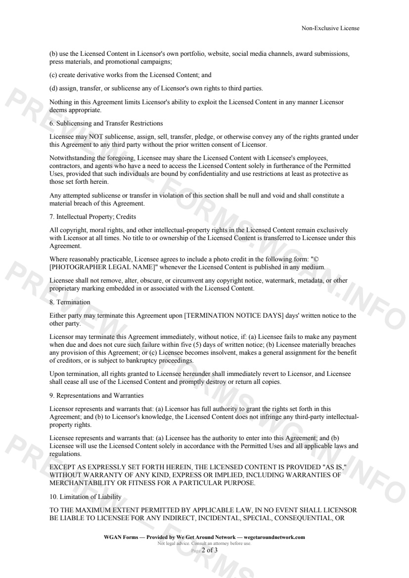 Non-Exclusive License — page 2 preview covering Termination, Representations and Warranties, Limitation of Liability